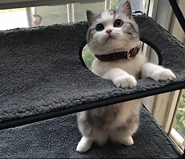 KFX-7271357 Removable and Washable Cat Hammock with Super Suction Cups for Window Sills