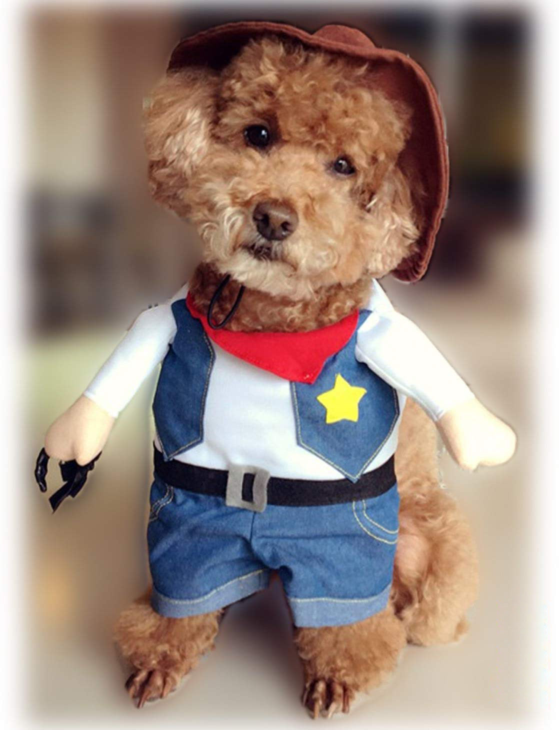 KFX-7273917 Denim Cowboy Costume for Pets - Stylish Dog and Cat Role Play Outfit