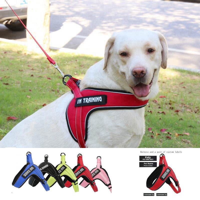 KFX-7287101 Breathable Reflective Dog Harness Vest with Adjustable Metal Buckle and Personalized Fit