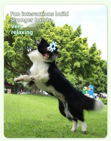 KFX-7290685 Interactive Flywheel Dog Frisbee Toy for Engaging Playtime and Stronger Bonds