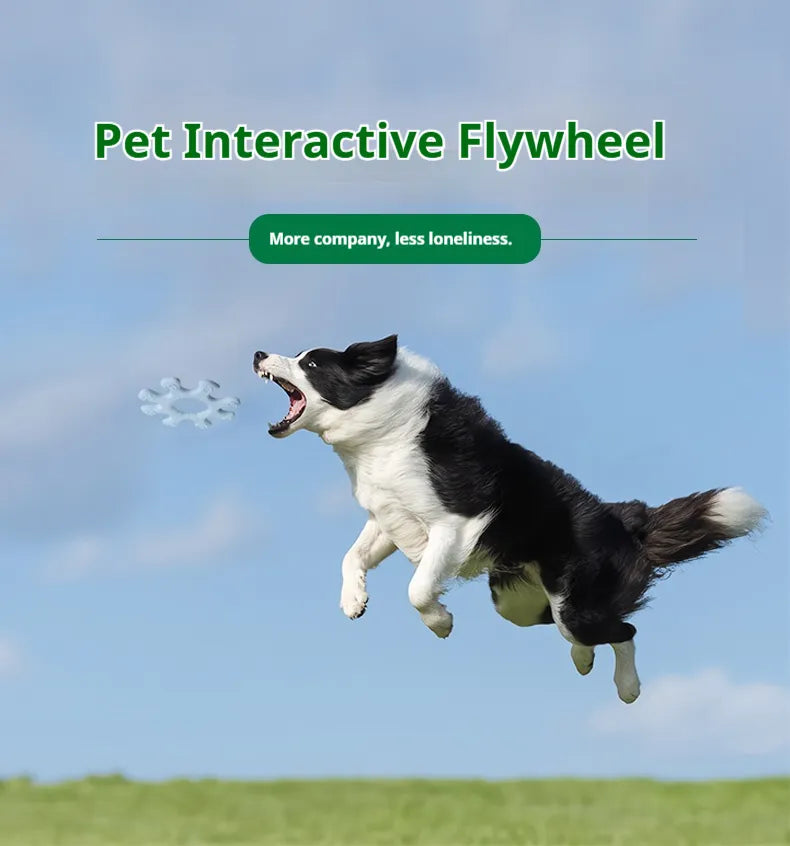 KFX-7290685 Interactive Flywheel Dog Frisbee Toy for Engaging Playtime and Stronger Bonds