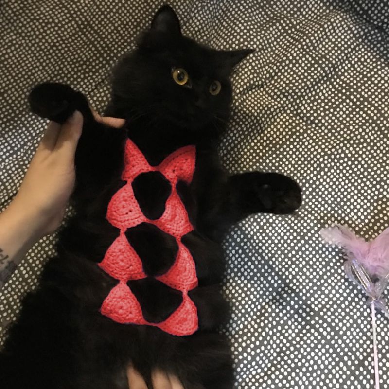 KFX-7294269 Funny Cat Cosplay Bikini Outfit for Spring/Summer Festivals and Halloween Pet Parties