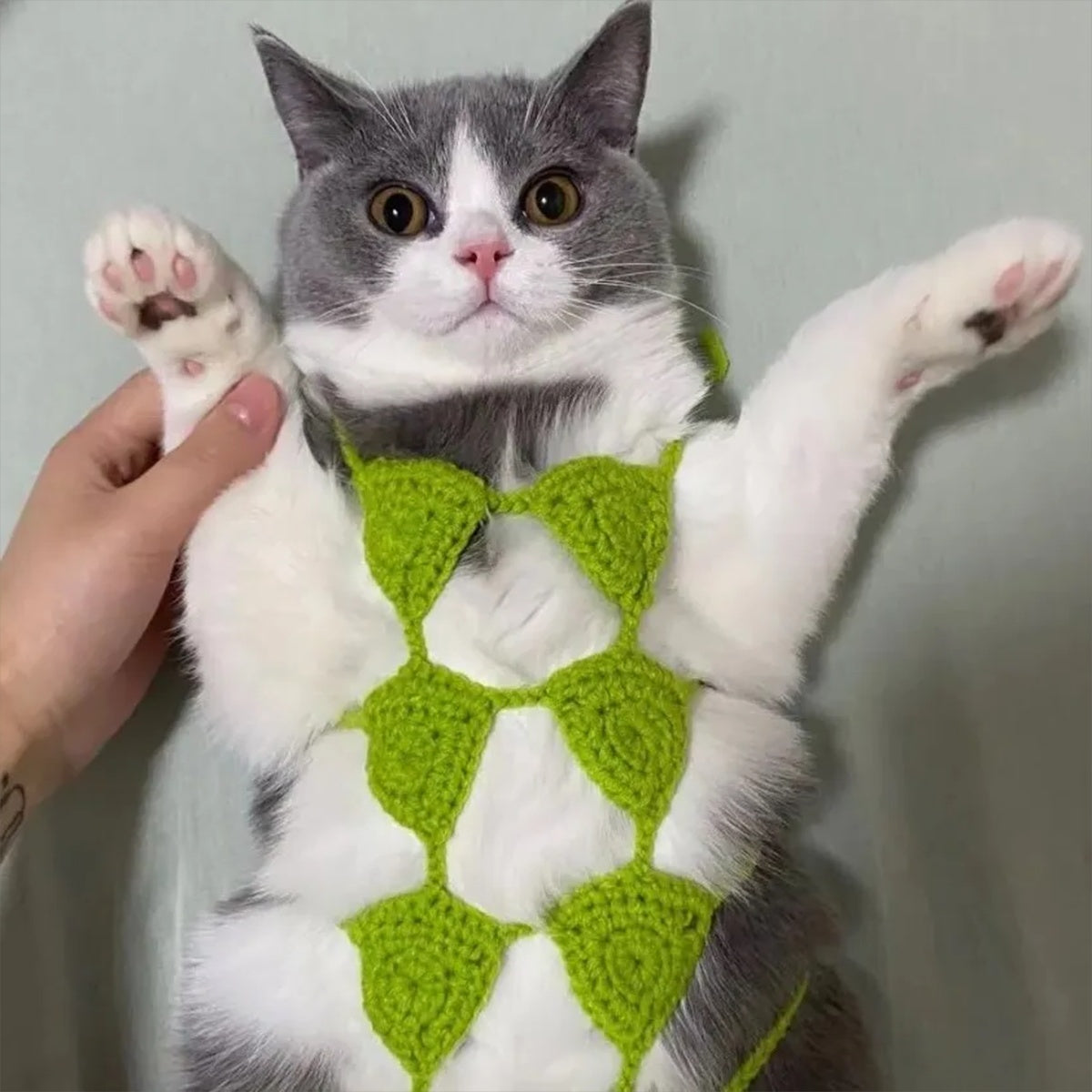 KFX-7294269 Funny Cat Cosplay Bikini Outfit for Spring/Summer Festivals and Halloween Pet Parties