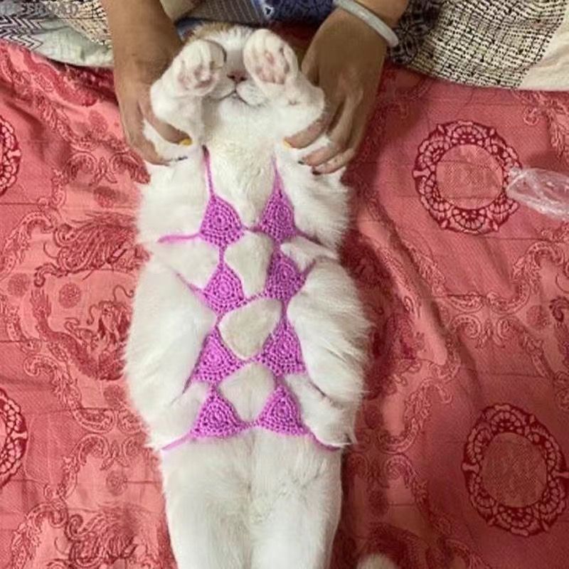 KFX-7294269 Funny Cat Cosplay Bikini Outfit for Spring/Summer Festivals and Halloween Pet Parties