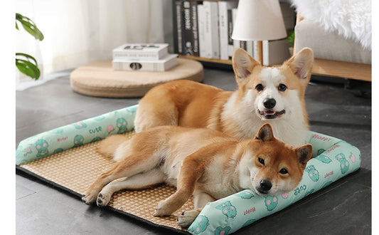 KFX-7295037 Summer Pet Nest and Cooling Mat - Double-Sided Lemon & Dinosaur Designs, Available in S, M, L