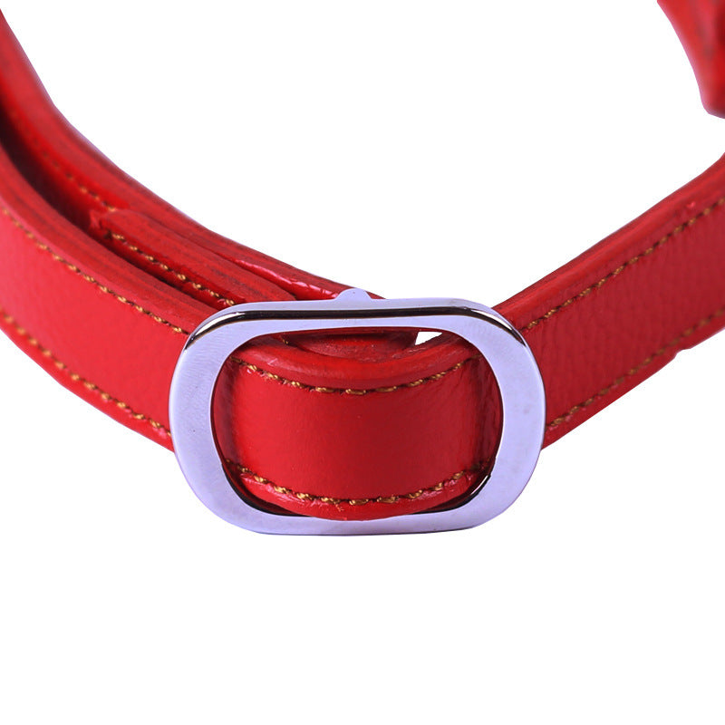 KFX-7298749 Cowhide Semi-Controlled P Chain Collar for Small Dogs - Black and Brown Options