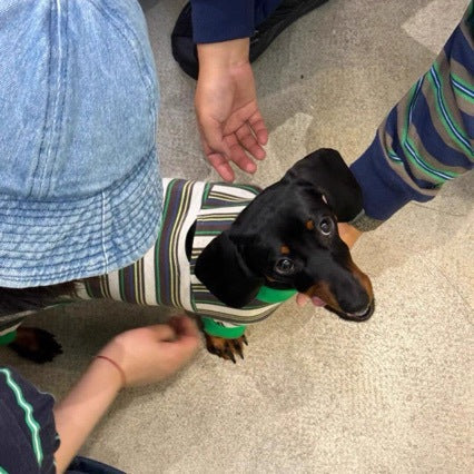 KFX-7302333 Striped Warm Vest for Dogs - Cozy Autumn and Winter Pet Clothing