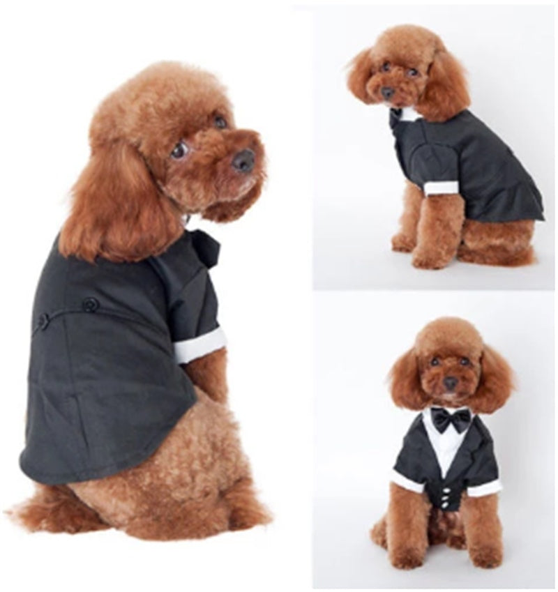KFX-7308861 Cozy Cotton Pet Suit for Golden Retrievers - Stylish Fall/Winter Outfit