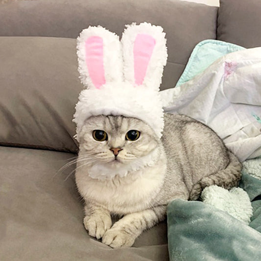 KFX-7310653 Cute Cartoon Rabbit Ears Headdress for Pets – Cozy Cotton Wool Winter Accessory