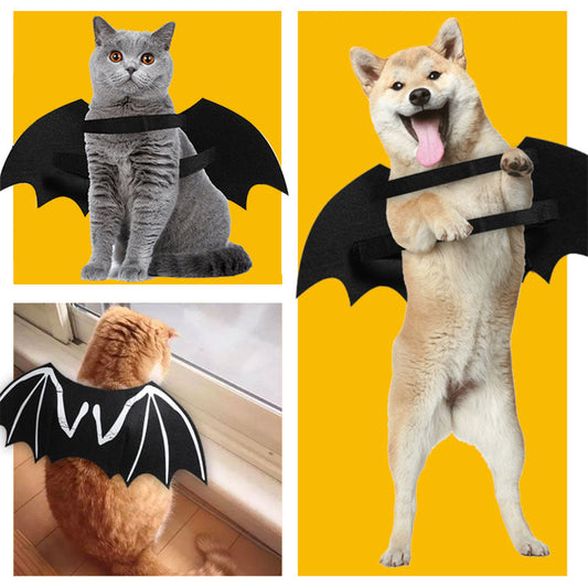 KFX-7312445 Luminous Black Felt Bat Wings Dog Costume in Sizes S, M, L