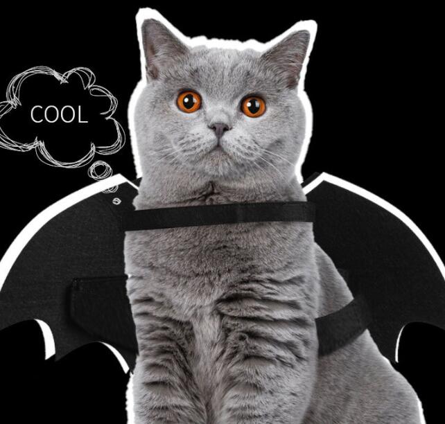 KFX-7312445 Luminous Black Felt Bat Wings Dog Costume in Sizes S, M, L