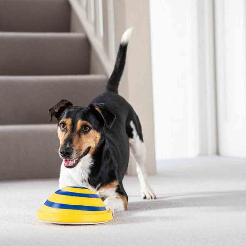 KFX-7313085 Interactive Sounding Disc Toy for Indoor Dogs - Safe, Soft, and Engaging Play Solution