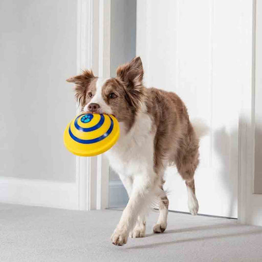 KFX-7313085 Interactive Sounding Disc Toy for Indoor Dogs - Safe, Soft, and Engaging Play Solution
