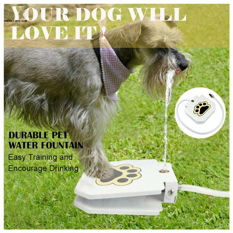 KFX-7314109 Automatic Pet Water Dispenser with Stainless Steel Design for Easy Outdoor Use