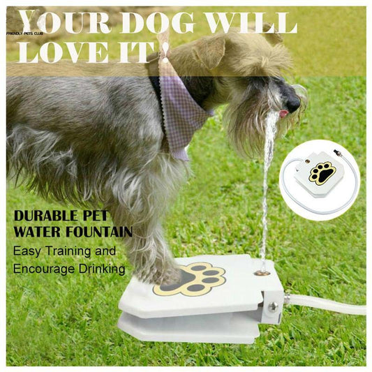 KFX-7314109 Automatic Pet Water Dispenser with Stainless Steel Design for Easy Outdoor Use