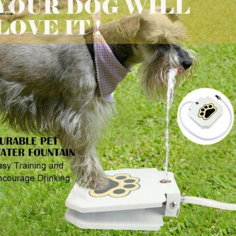 KFX-7314109 Automatic Pet Water Dispenser with Stainless Steel Design for Easy Outdoor Use