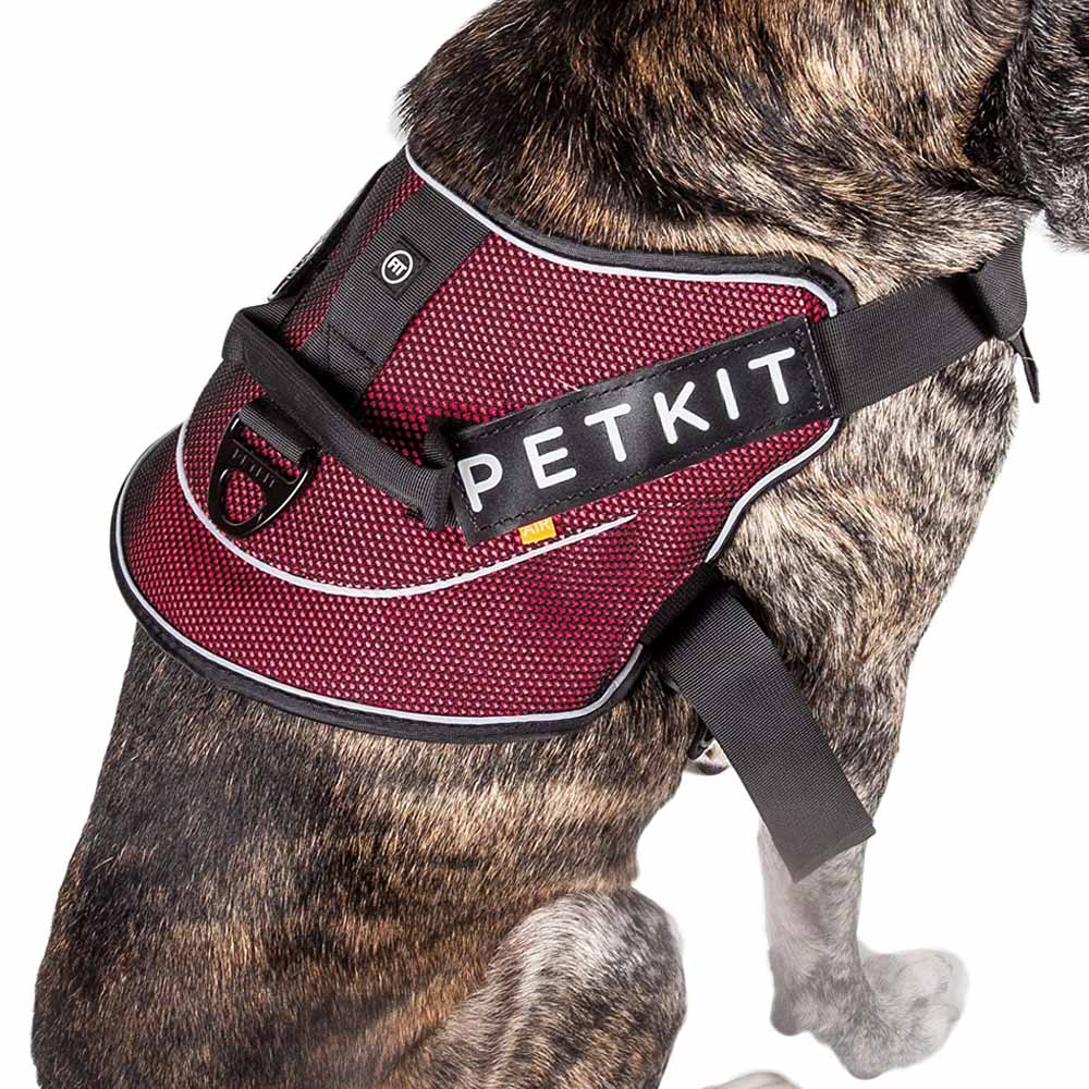KFX-7317309 Durable Nylon Pet Vest Chest Strap with Adjustable Sizes for Dogs and Cats