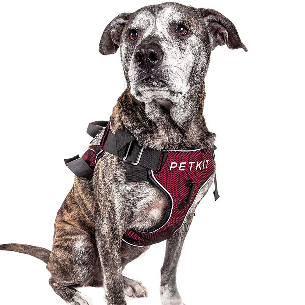 KFX-7317309 Durable Nylon Pet Vest Chest Strap with Adjustable Sizes for Dogs and Cats