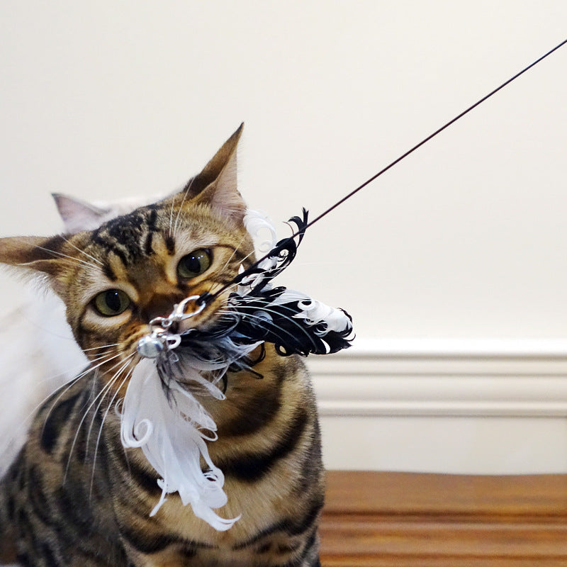 KFX-7318845 Cat Toy with Bird Feather Wand and Black Stick for Interactive Play