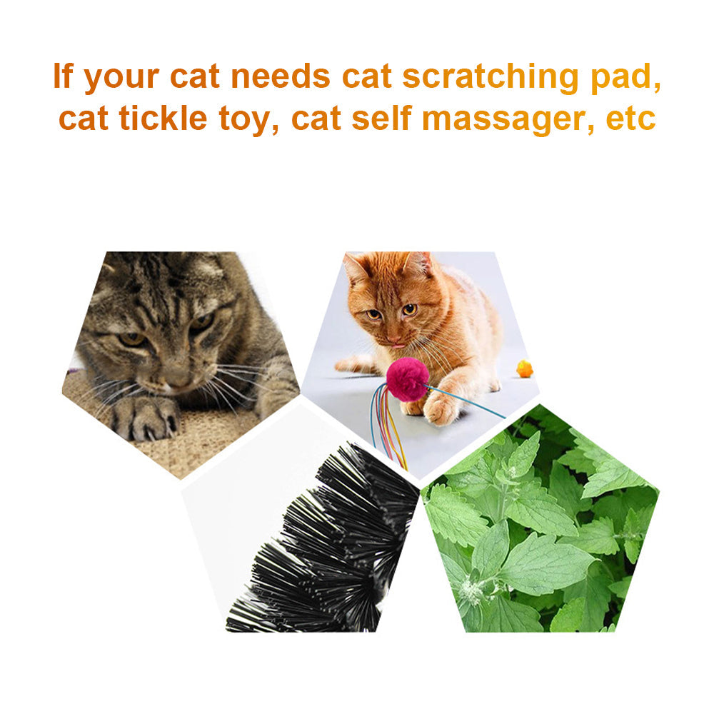 KFX-7319613 Arch Type Cat Rubbing Device with Massage Brush and Scratching Pad