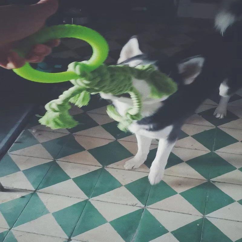 KFX-7322429 Durable Cotton Rope Dog Chew Toy for Molar Health - 14CM Ring Diameter, 50CM Length
