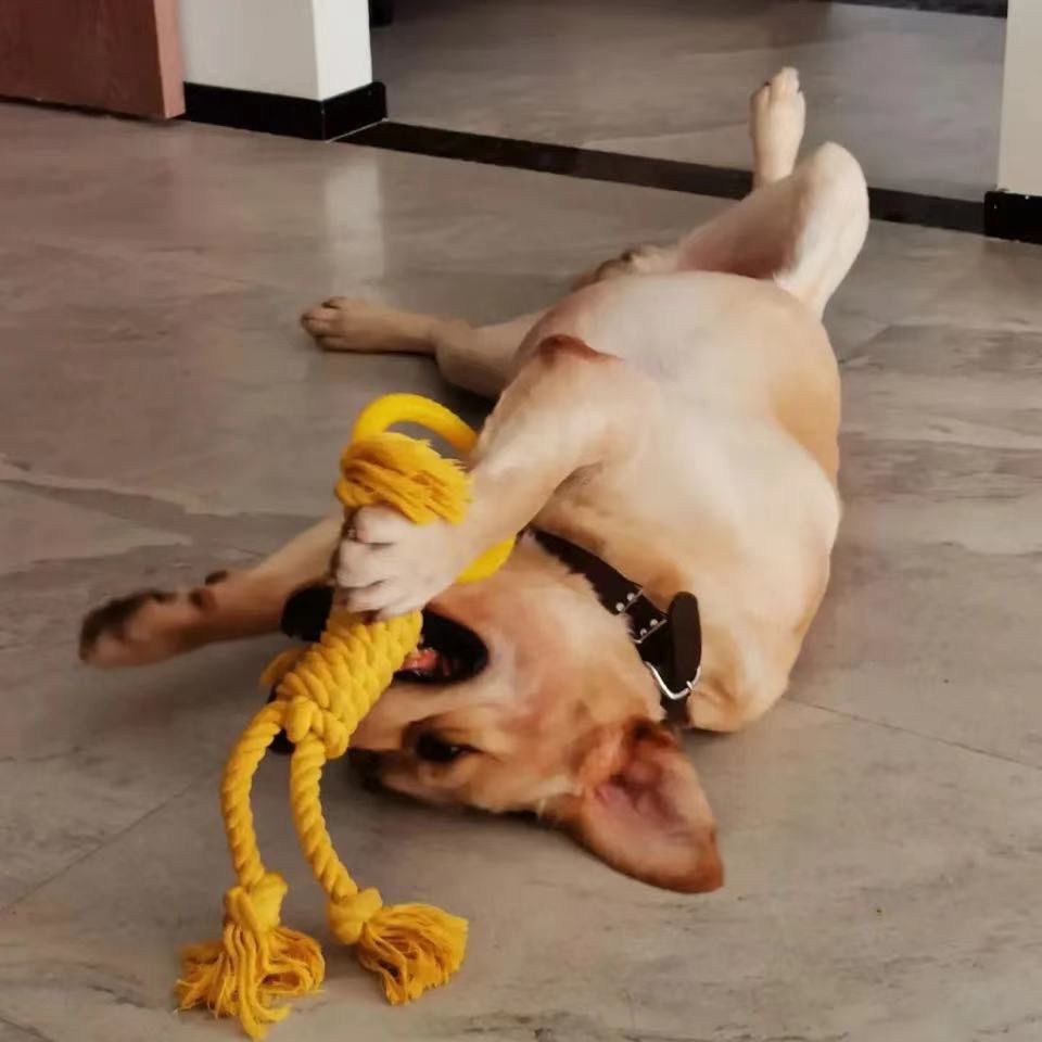 KFX-7322429 Durable Cotton Rope Dog Chew Toy for Molar Health - 14CM Ring Diameter, 50CM Length