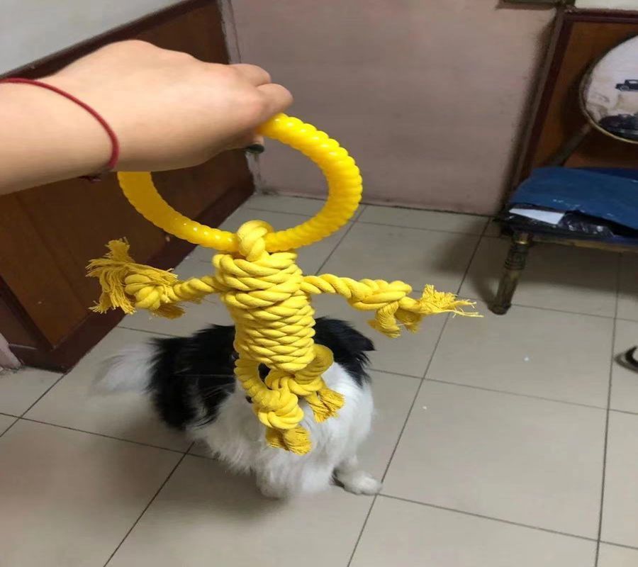 KFX-7322429 Durable Cotton Rope Dog Chew Toy for Molar Health - 14CM Ring Diameter, 50CM Length