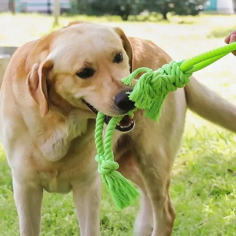 KFX-7322429 Durable Cotton Rope Dog Chew Toy for Molar Health - 14CM Ring Diameter, 50CM Length