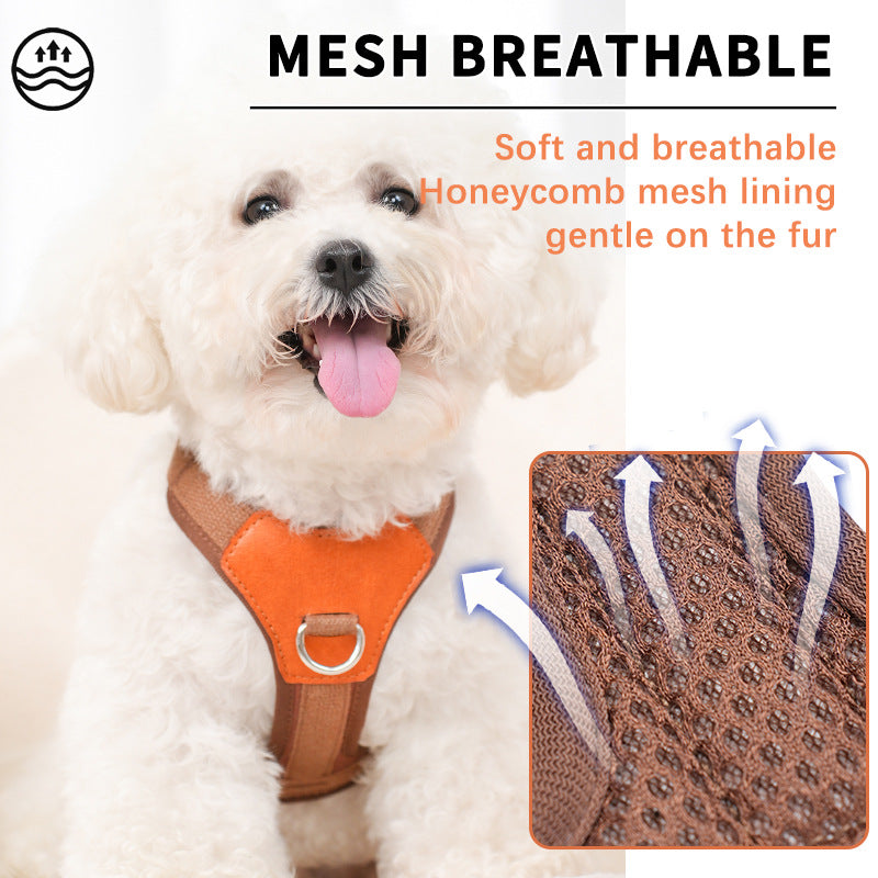 KFX-7323069 Retro Style Rope Harness for Dogs - Brown, Green, Blue Options in Durable Polyester