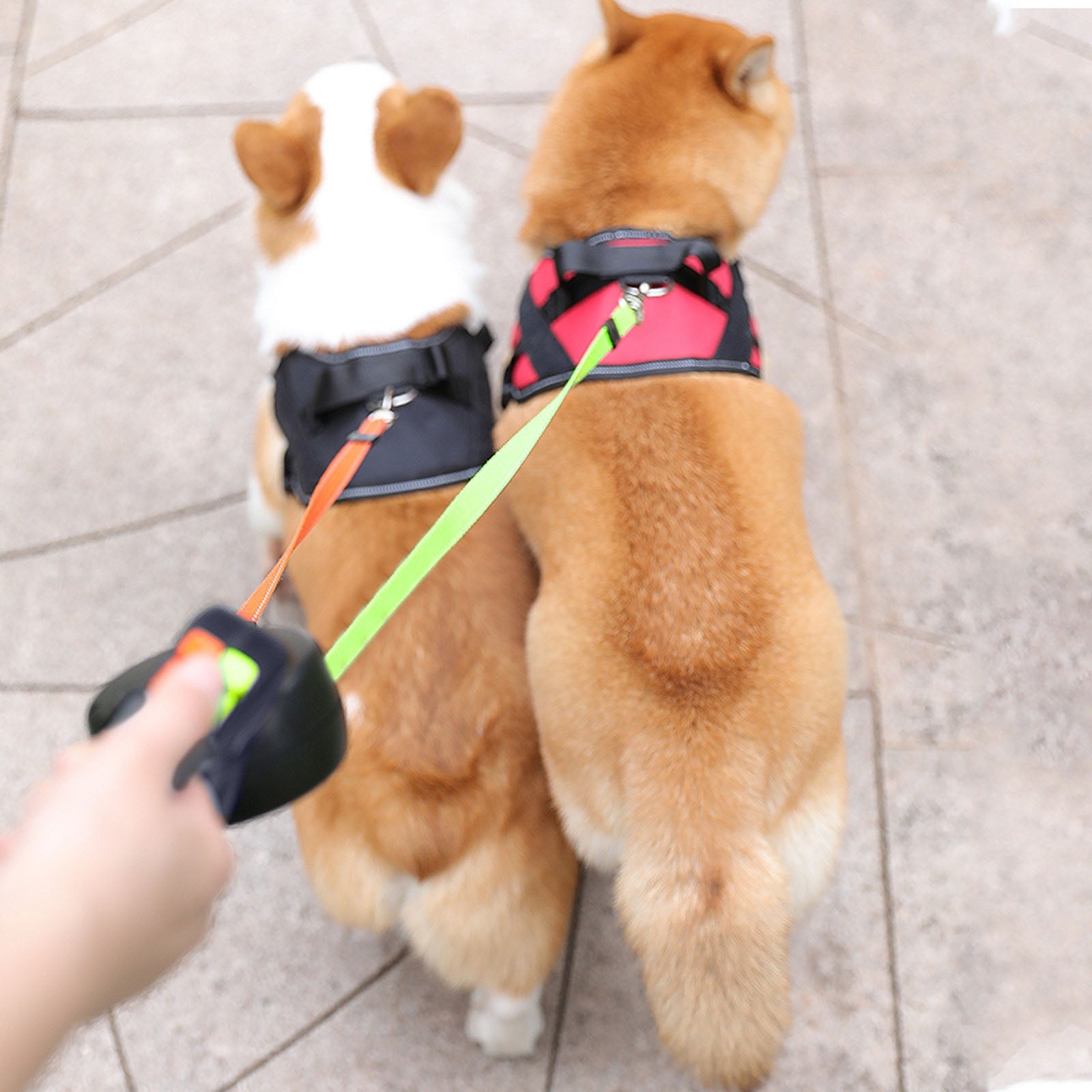 KFX-7323581 Automatic Telescopic Dog Leash - 3M/5M, Durable Nylon Rope with Chrome-Plated Metal Fasteners, Supports Up to 17Kg