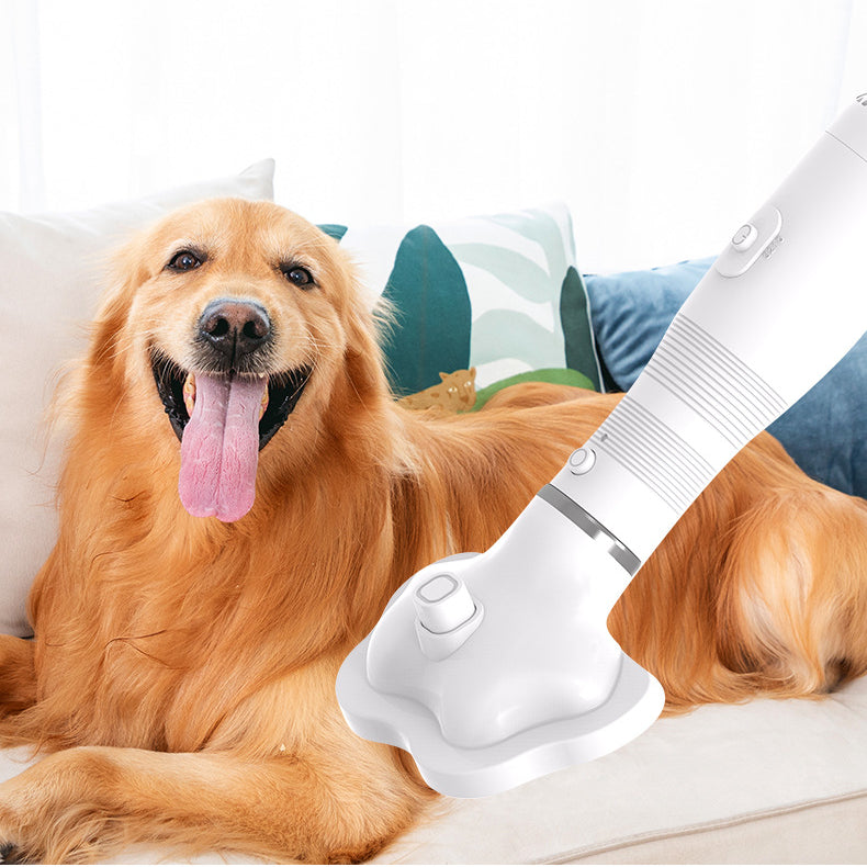 KFX-7325373 Two-in-One Pet Hair Dryer and Comb for Dogs and Cats - 600W Hot Air Blower Tool