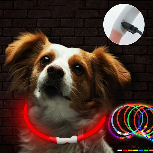 KFX-7325757 Luminous USB Rechargeable Dog Collar – Bright & Durable for All Seasons
