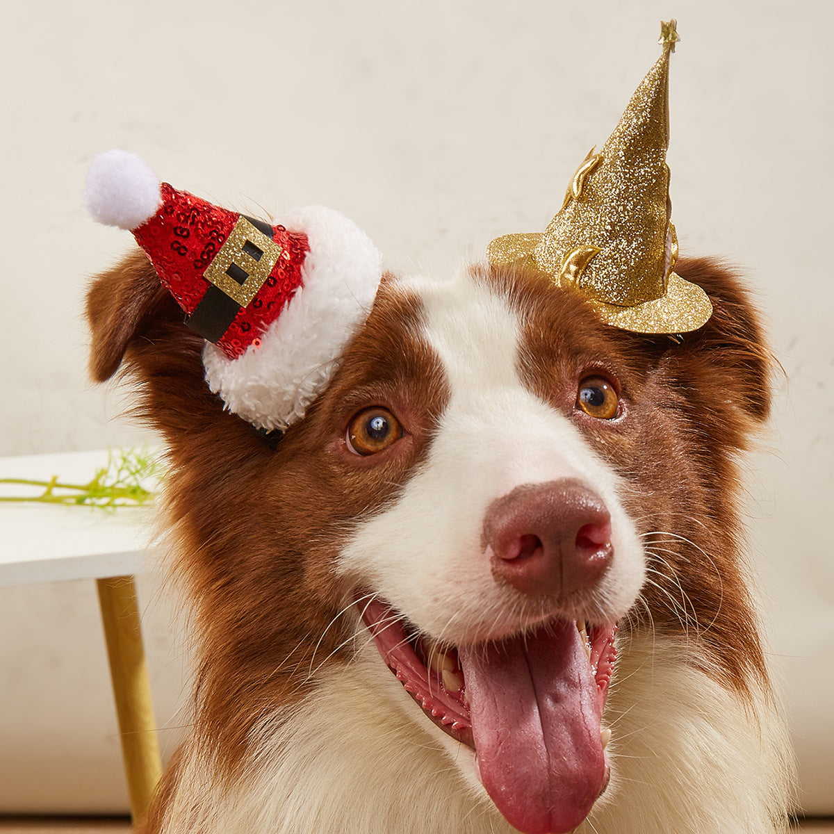 KFX-7349181 Halloween and Christmas Pet Hairpin Hats - Witch Hat and Santa Style Accessories