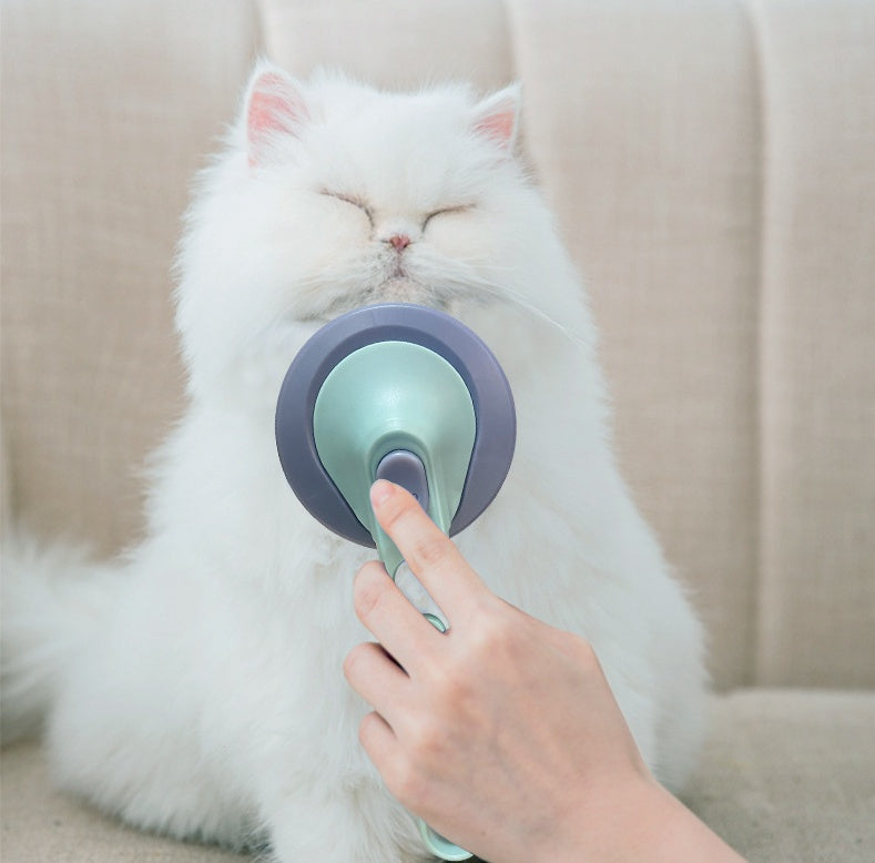 KFX-7352381 Pet Hair Removal Comb with Stainless Steel & Plastic Design in Pink and Blue