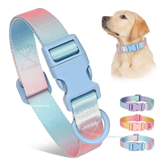 KFX-7356349 Adjustable Nylon Dog Collar in Gradient Colors for Small to Large Dogs