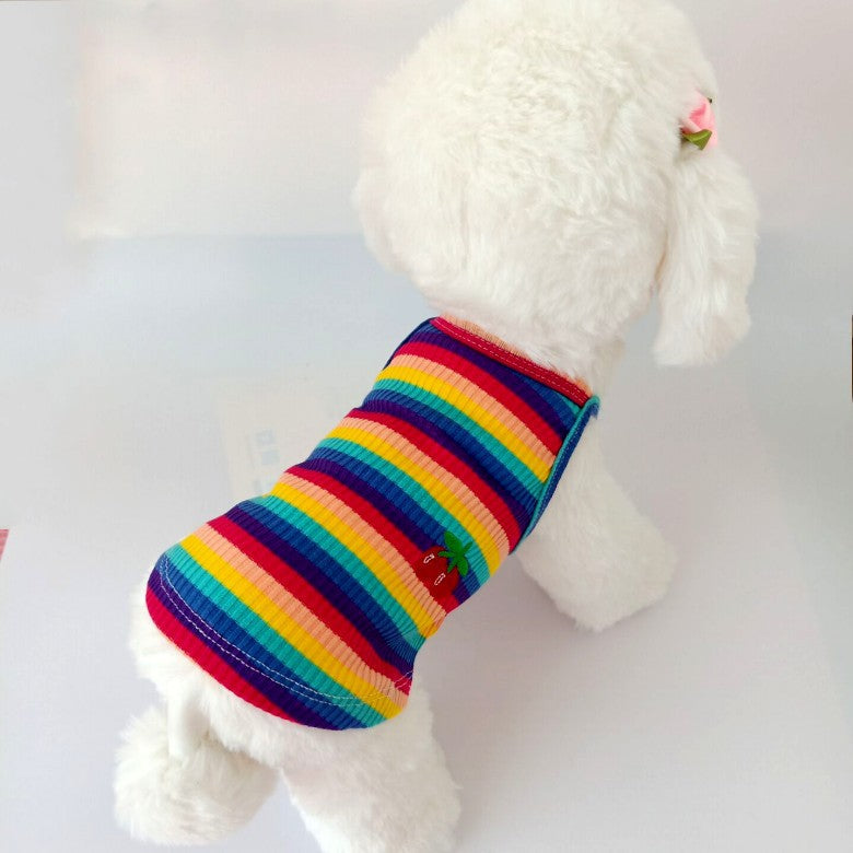 KFX-7373629 Color Striped Cherry Vest for Small Dogs - Casual Cotton Apparel in Blue, Purple, and Orange