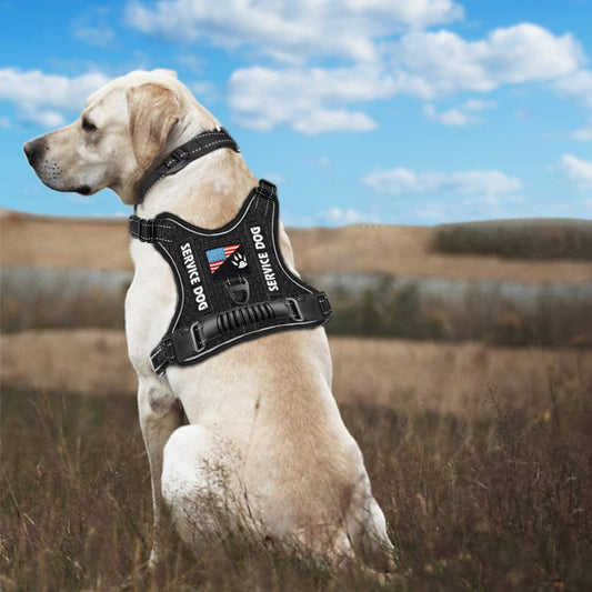 KFX-7382845 Reflective Night Vision Pet Harness with Shock Absorption and Traction Chest Strap