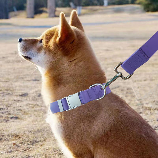 KFX-7385405 Adjustable Waterproof Silicone Pet Traction Rope with Zinc Alloy D Buckle - Multiple Sizes in Purple, Green, Pink