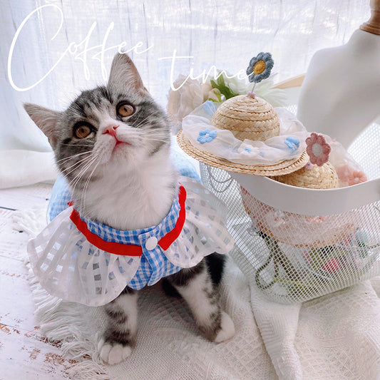 KFX-7389885 Blue Mesh Tutu Skirt with Pink or Blue Straw Hat for Small Dogs and Cats