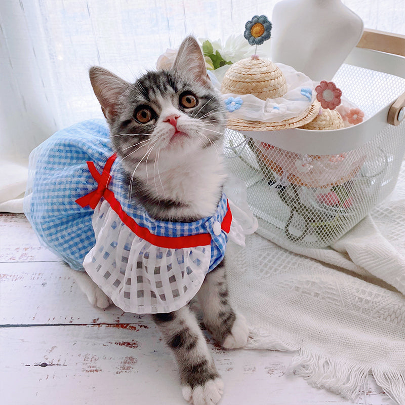 KFX-7389885 Blue Mesh Tutu Skirt with Pink or Blue Straw Hat for Small Dogs and Cats