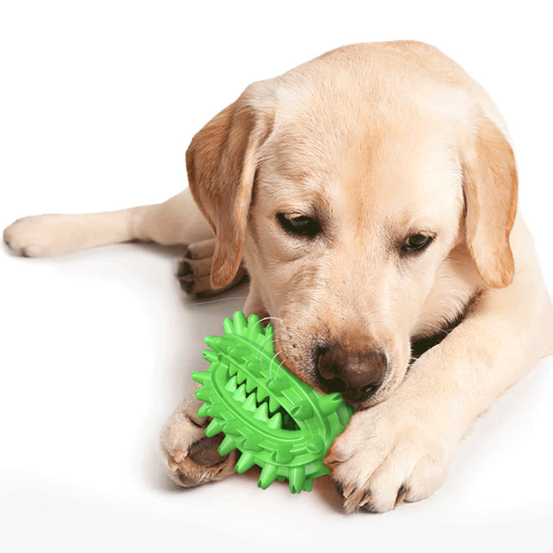 KFX-7398333 Durable Cactus Chew Toy for Medium to Large Dogs - Dental Care & Cleaning with Food-Grade Rubber