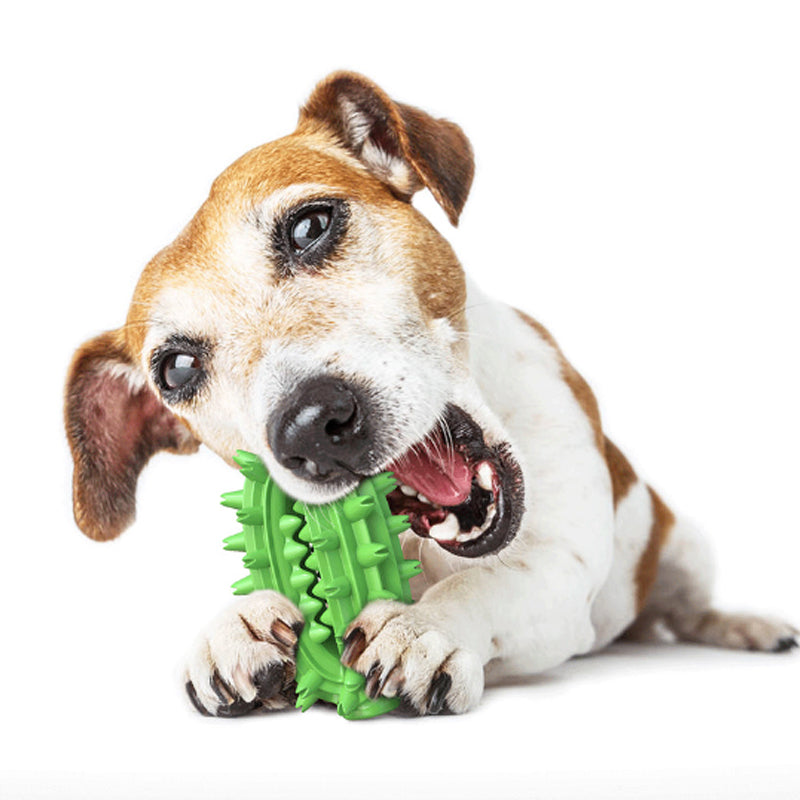 KFX-7398333 Durable Cactus Chew Toy for Medium to Large Dogs - Dental Care & Cleaning with Food-Grade Rubber