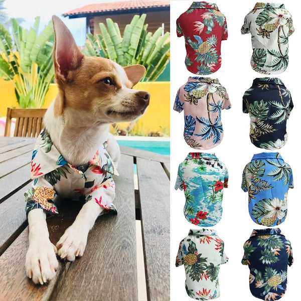 KFX-7404989 Dog Summer Thin Shirt, Breathable Chiffon Corgi Cat Apparel for Beach Parties