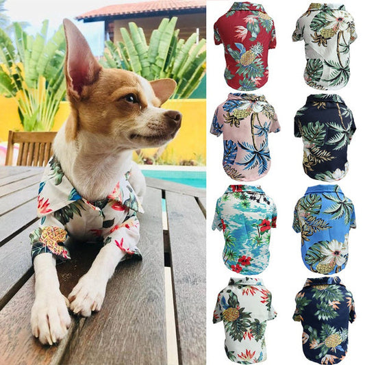 KFX-7404989 Dog Summer Thin Shirt, Breathable Chiffon Corgi Cat Apparel for Beach Parties