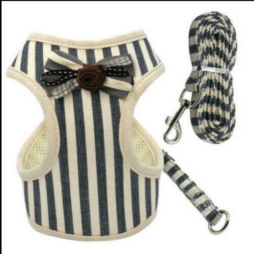 KFX-7406397 Breathable Tank Top Style Dog Chest Strap with Traction Rope for Pets