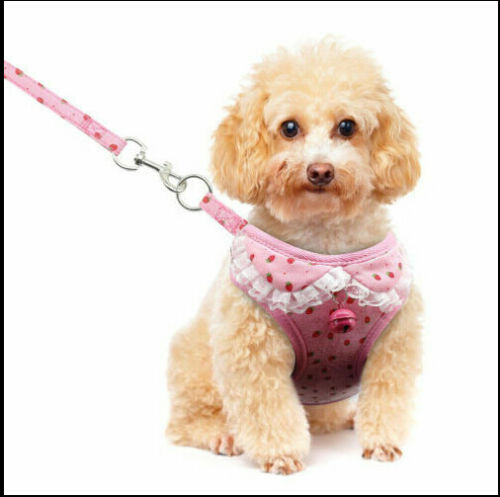 KFX-7406397 Breathable Tank Top Style Dog Chest Strap with Traction Rope for Pets