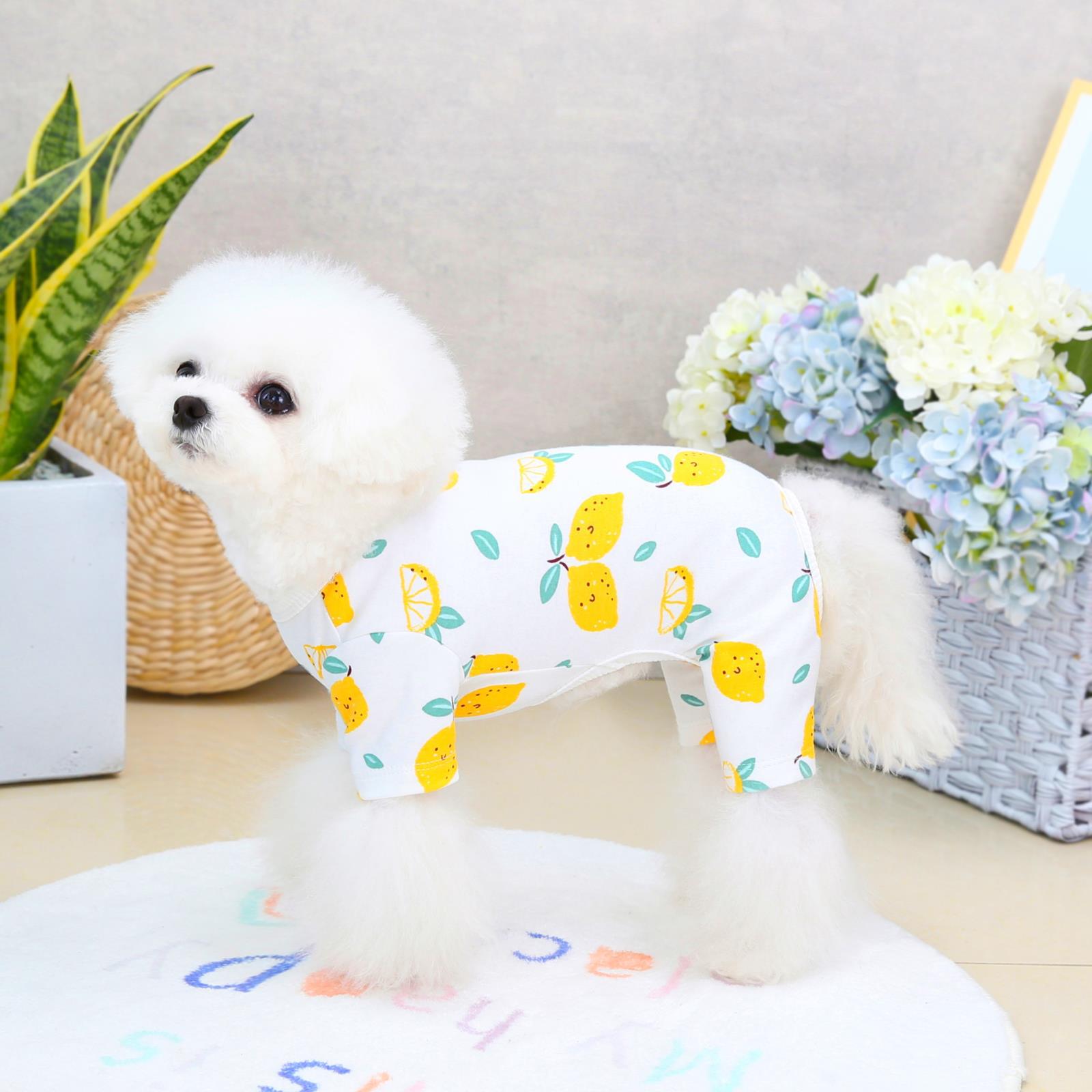 KFX-7408957 Casual Cotton Four-Legged Pet Clothing - Available in Lemon, Lion, Smiling Face, and Ice Cream Designs