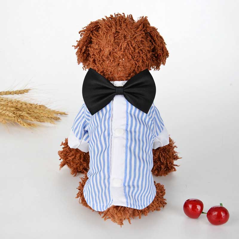 KFX-7426237 Couples Spring/Summer Breathable Pet Outfit - Sky Blue Shirt & Skirt Set