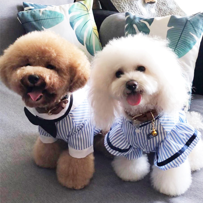 KFX-7426237 Couples Spring/Summer Breathable Pet Outfit - Sky Blue Shirt & Skirt Set
