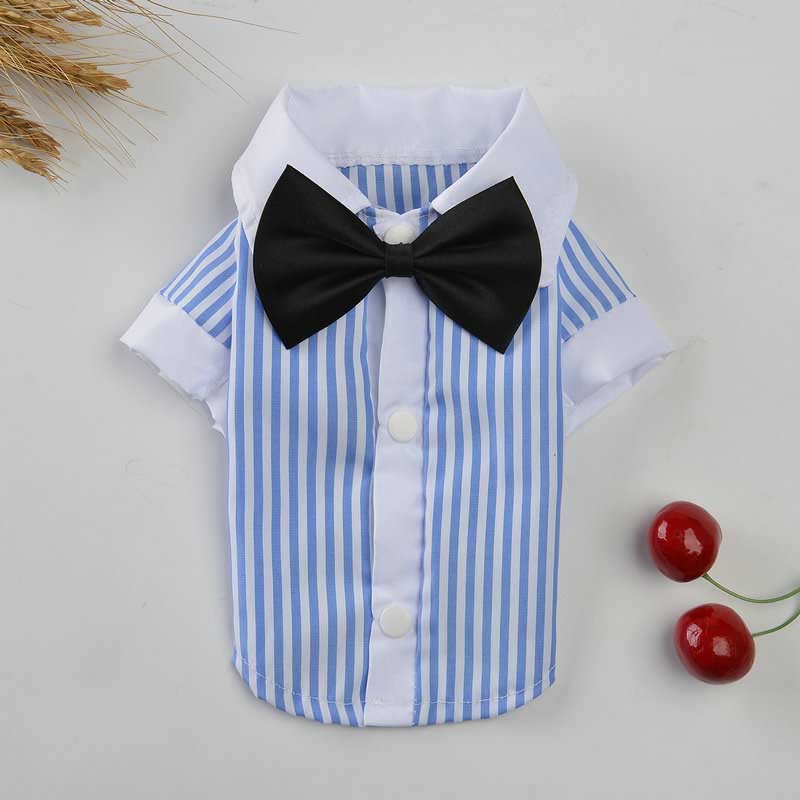KFX-7426237 Couples Spring/Summer Breathable Pet Outfit - Sky Blue Shirt & Skirt Set